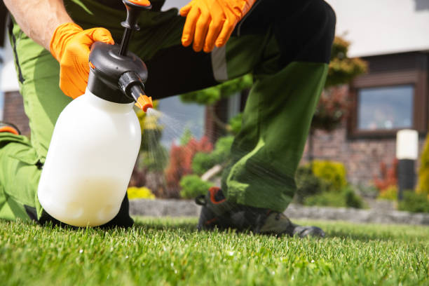 Best Pest Prevention Services  in Florence Graham, CA