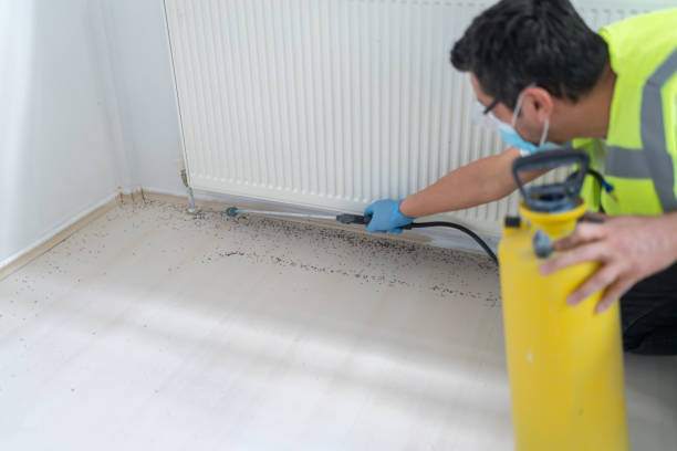 Best Pest Control for Restaurants  in Florence Graham, CA